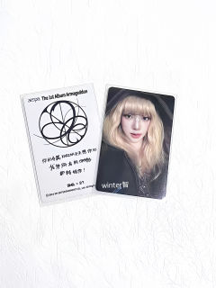 中文卡背爱了爱了(●♡∀♡)