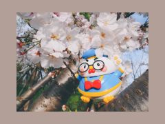 带着娃能出门野餐赏花～