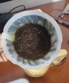 托鸡哥的福，喝到了新产季的詹森的两款，因为是同样的海拔同样的