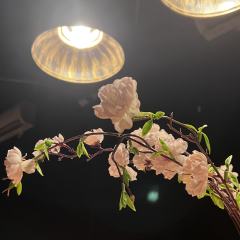 【含剧透】
嘘,你听,是浪漫的诅咒
我们,插翅难逃
📚剧