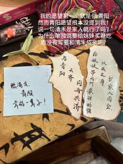 【含剧透】
“一点飞鸿影下,清流灌玉禾”
📖体验剧本:九州