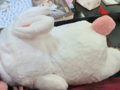“以后你生命里的每一场大雪,都会有我和我的礼物。”
“金风玉