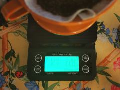花神投喂包里面最后一款豆子，来自morgon的水洗肯尼亚。参
