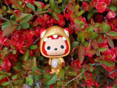 和狸🦊 在一起的时光～我们看花🌸 ，看海🏝 ，看许多的