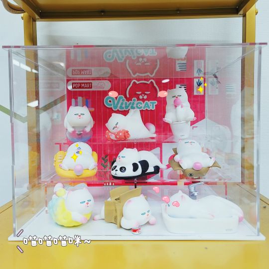 亚克力猫窝🐱🐱🐱