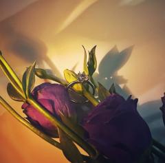 《愿爱无忧》比悲伤更悲伤的故事,是你的名字停留在我的过往里,