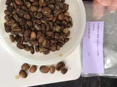 果丁丁，浅烘，这种浅的浅烘个人还是不会冲煮，应该挺考验冲煮技