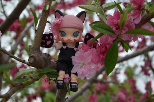 带娃出游直接把娃摔了🤣