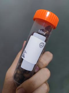 gala哥投喂包之圆石班痧，很不错的一支豆子

豆香：淡淡黄
