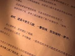 南柯,道是今宵月儿胧。一瞥惊鸿,恰如南柯一梦中。
剧本:《