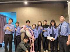 “在沪海,下的每一滴雨,都是我秦家的”
“在沪海,我秦晴可以