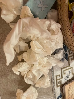 23年古风纯爱天花板我心目中是这个盒装本 
《芸芸》不需要靠