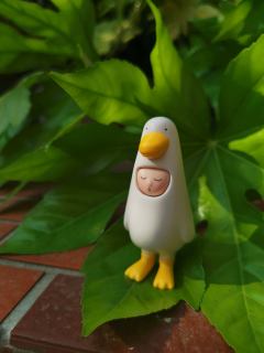 恐龙妹闭眼鹅噗噜噗噜草莓和柔彩小熊~春季这么好的季节适合吃甜