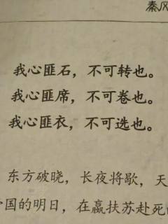 【含剧透】
桃之夭夭，其叶蓁蓁。
山有扶苏，隰有荷华。
 @