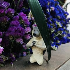 昨天刚好带了两只崽出去玩🌸
坐标 吉林长春 「這有山」⛰️