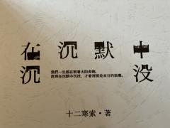 在沉默中沉没
剧本时长：10.5h
剧本类型：社会派还原 变
