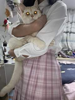 梗豆库洛米二版
当时拍照身高170，体重105，m码
实体店