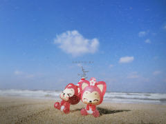 和狸🦊 在一起的时光～我们看花🌸 ，看海🏝 ，看许多的