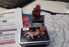 独家剧本杀就该这么玩🔥
推荐⭐∶10/10;
其中,剧本