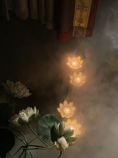 🌸【苍岐2:青川】填补【苍岐】的坑和遗憾,全面超越1的续作