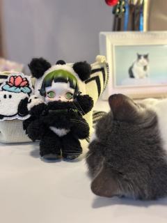 这一款实在是太漂亮了，细节满满。除了背面是熊猫，侧面耳朵也是