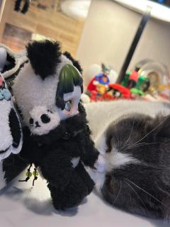 这一款实在是太漂亮了，细节满满。除了背面是熊猫，侧面耳朵也是