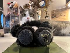 这一款实在是太漂亮了，细节满满。除了背面是熊猫，侧面耳朵也是