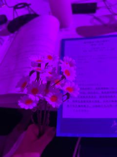 CO🚗《温床》管家：萝卜希亚：粉粉
温床打了 没见过这么日