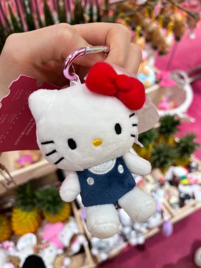 周末逛街一眼相中的Kitty！品相超正超可爱！新购的最爱包挂🥰