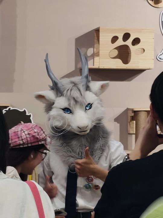 帖子封面图