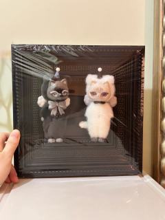 两个大爆磁，重的是黑猫，轻的是白猫，大明盒