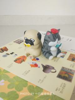 爱读书的喵星汪星人🐱🐶