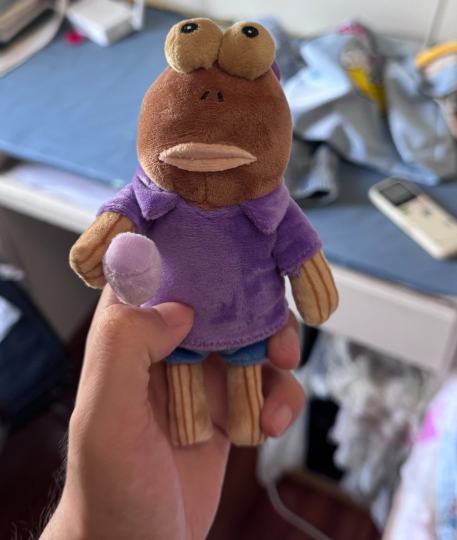 不是热款的丑丑鱼甚至是最丑的但是！我最喜欢啦