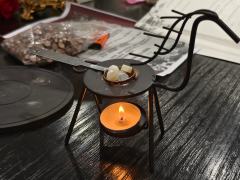 《温床》我的建议是不看任何建议，甚至包括我的，闭眼冲就行

