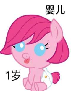  @黎晚 碧琪的一生重发一下