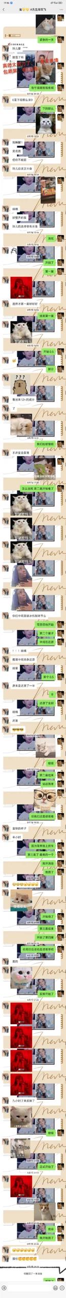 人总是无数次掉进相同的陷阱😅。渣哥评价:“红鲱鱼达人”。