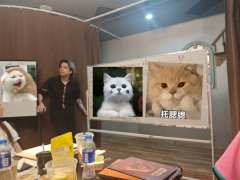 人总是无数次掉进相同的陷阱😅。渣哥评价:“红鲱鱼达人”。