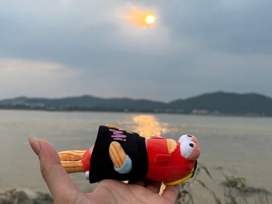 帖子封面图