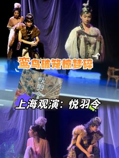 当鸾鸟撞碎铜镜：这场反PUA大戏，连呼吸都带着刀光

昨天晚