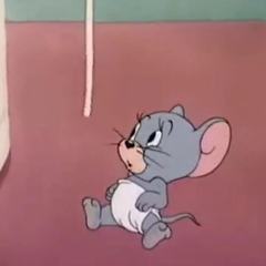 可爱的泰菲（1）