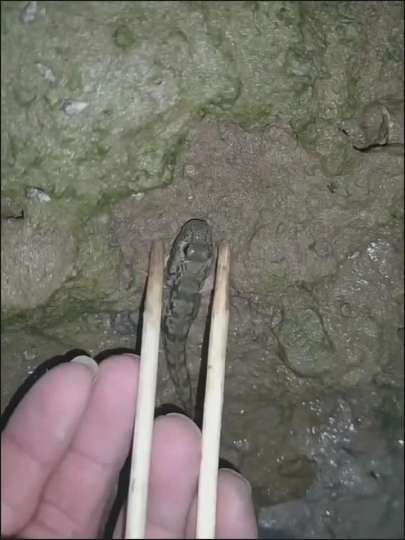 😱😱