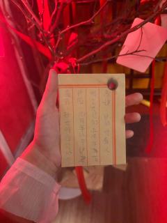 体验角色：谢雨山
时长：11.5h
店家：佛山大小王
DM: