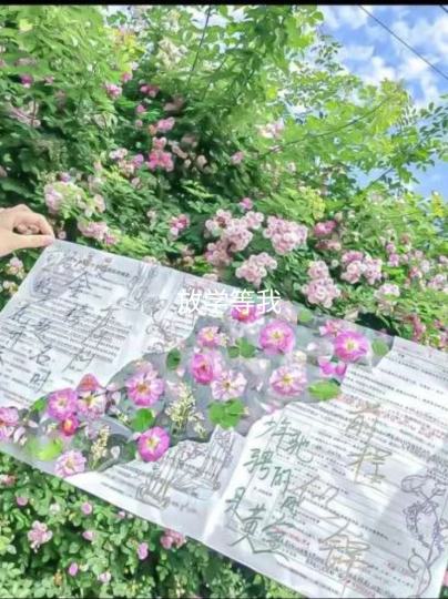 实在不知道发哪了