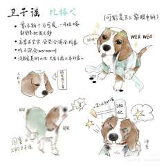 【含剧透】
“虐待才培养忠诚，爱培养自由”
“都……都听阿黎