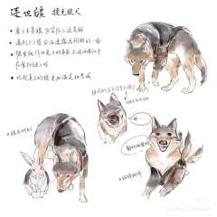 【含剧透】
“虐待才培养忠诚，爱培养自由”
“都……都听阿黎