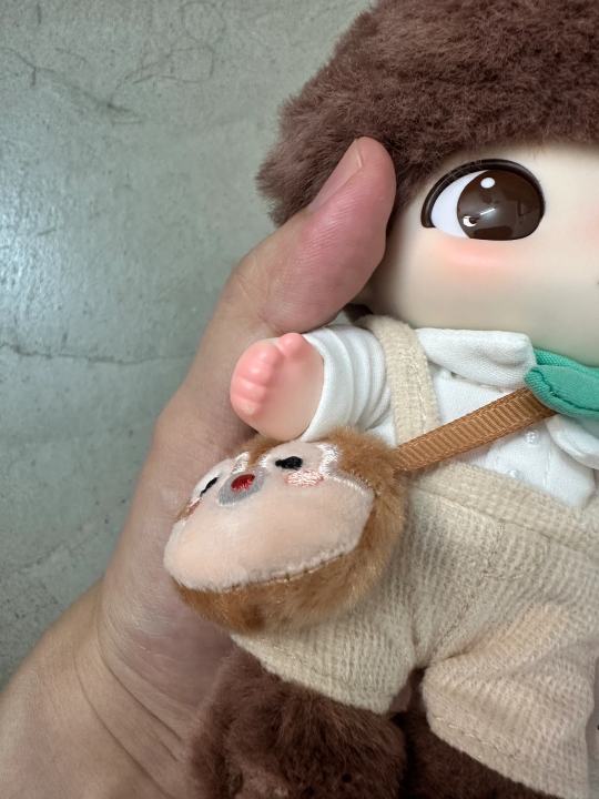 帖子封面图