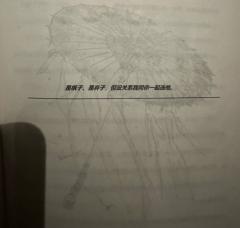 【小姑姑，我会同你一样，选他。】
【我的孩子...不要自责.