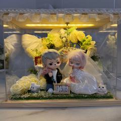 泡泡玛特结婚礼物摆件
娃娃是Rayan➕Anita粉红女郎 