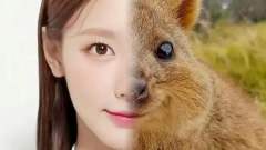 小娟的好拽，看到面面的真不行了，太可爱了吧😘