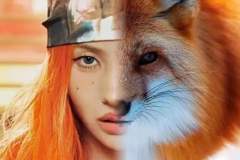 小娟的好拽，看到面面的真不行了，太可爱了吧😘